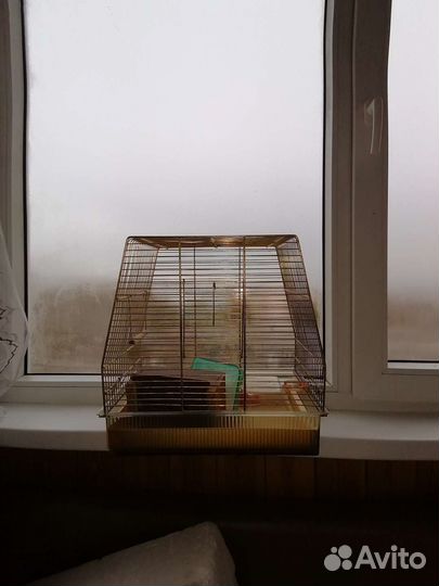 Большая клетка для птиц