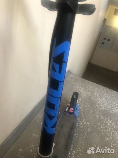 Самокат городской Roces 175 Man