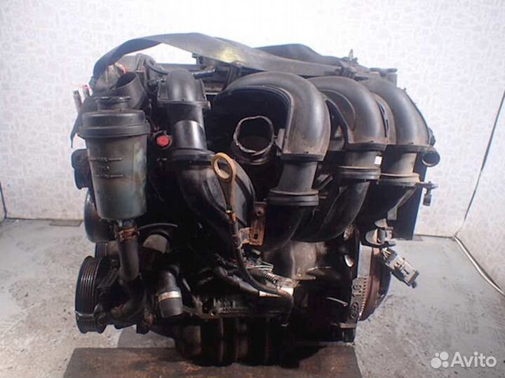 Двигатель Ford Focus 2 1.6 hwdb