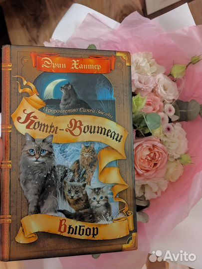 Книги коты-воители