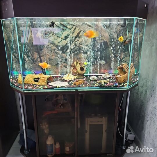 Аквариум с тумбой и рыбками на 220 литров