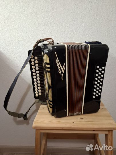 Гармонь Чайка