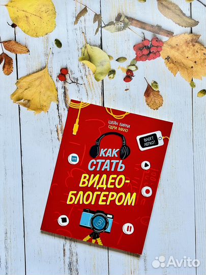 Как стать видеоблогером