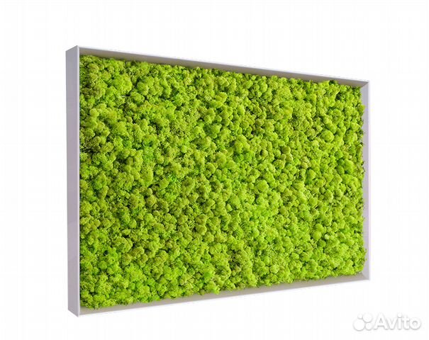 Панели мха. Стабилизированный мох