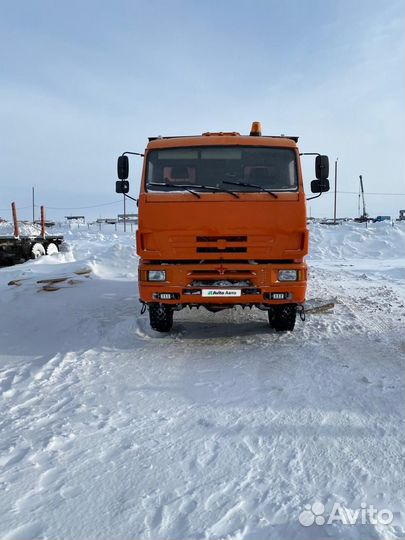 КАМАЗ 65222, 2010