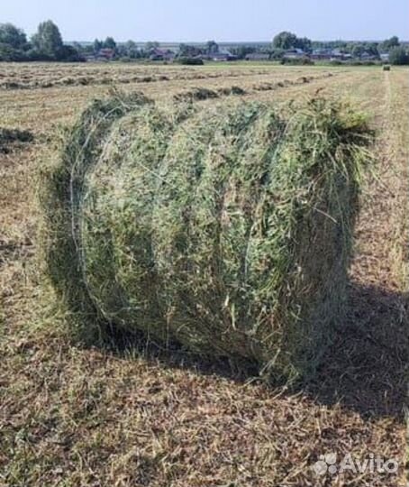 Сено, солома, люцерна