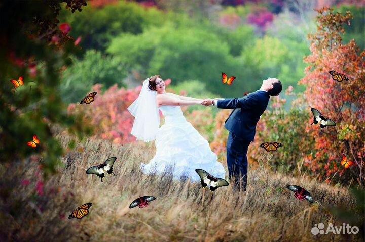 Салют из 20 Живых Тропических Бабочек с/б-16