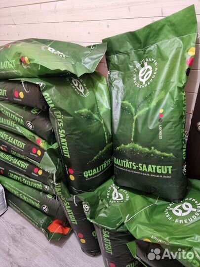 Мятлик луговой Балин многолетний Германия