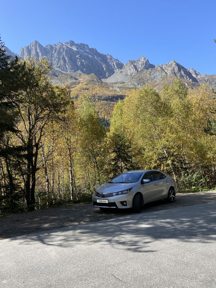 Toyota Corolla: фото владельца