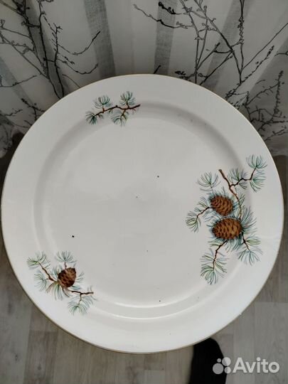 Большая тарелка блюдо