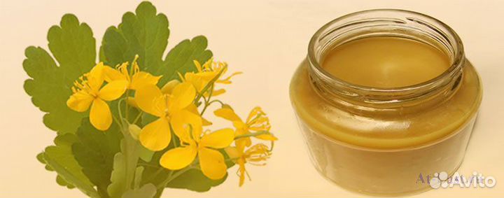 Мазь Чистая кожа, Варикозная, Рождественская