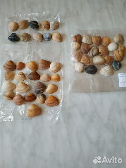 Наборы из ракушек для поделок, творчества