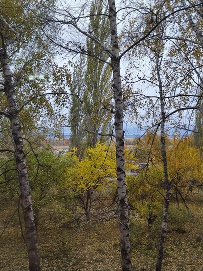 2-к. квартира, 44 м², 2/5 эт.