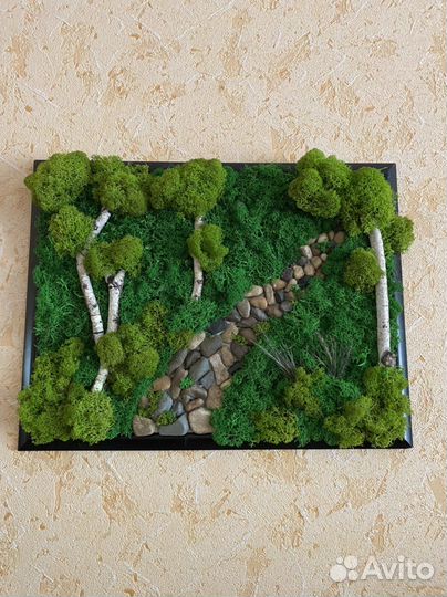 Картина из стабилизированного мха