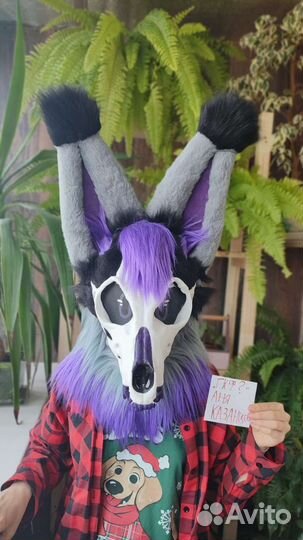 Фурсьют Скалл дог