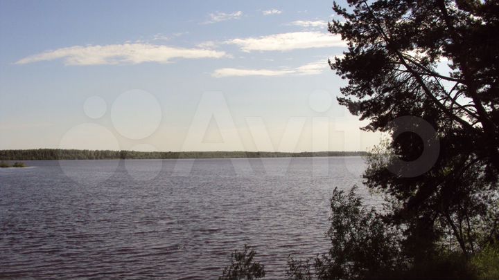 Участок 1169,22 га (СНТ, ДНП)