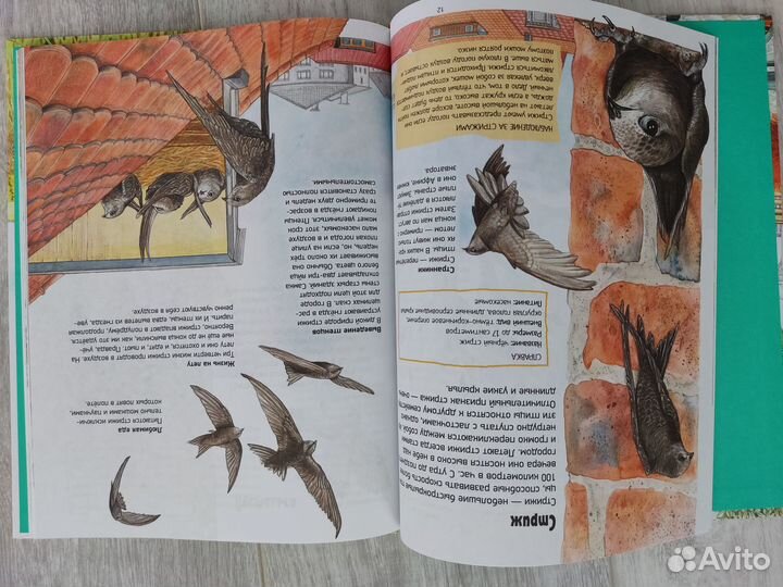 Бестселлеры детской познавательной литературы