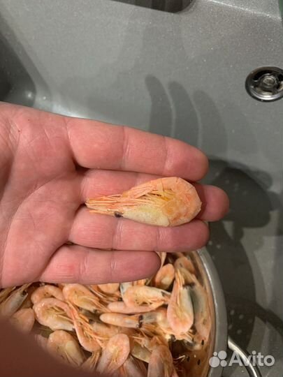 Продажа морепродуктов