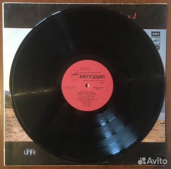 Pink Floyd – Delicate Sound Of Thunder