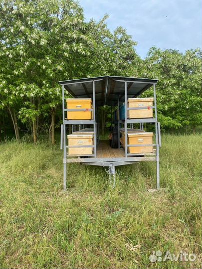 Прицеп с пчелами