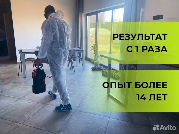 Дезинфекция. Уничтожение клопов, тараканов, блох