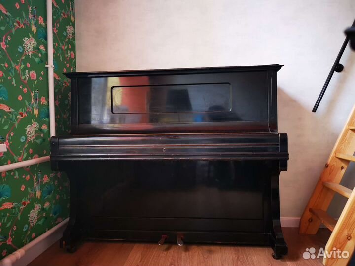 Учитель по фортепиано, сольфеджио, гармонии