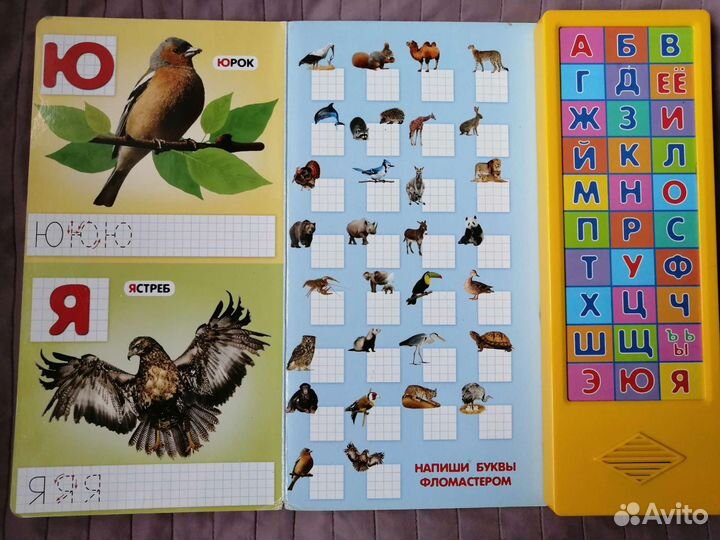 Азбука музыкальная,книга,магнитная доска с цифрами