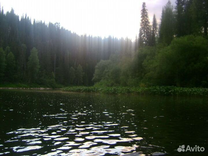 Заброска туристов, прокат катамаранов