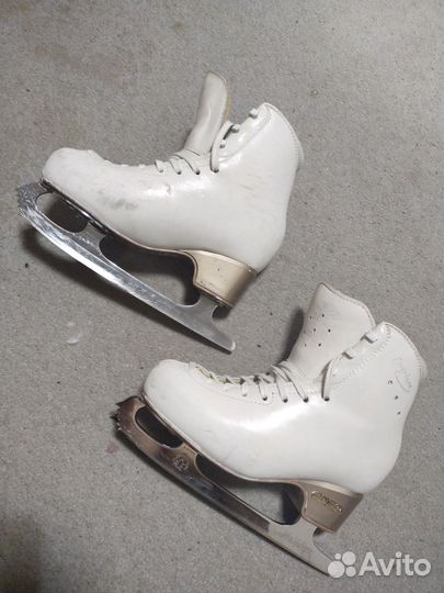 Коньки. edea. overture