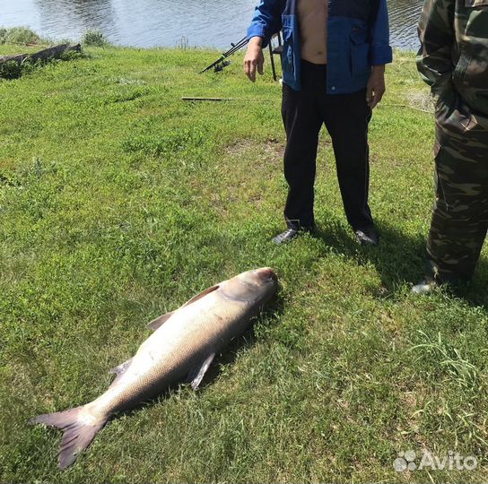 Рыбалка и отдых (с проживанием)
