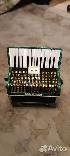 Аккордеон юность 1/2