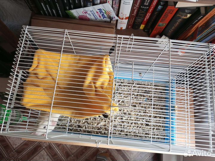 Клетка для крыс