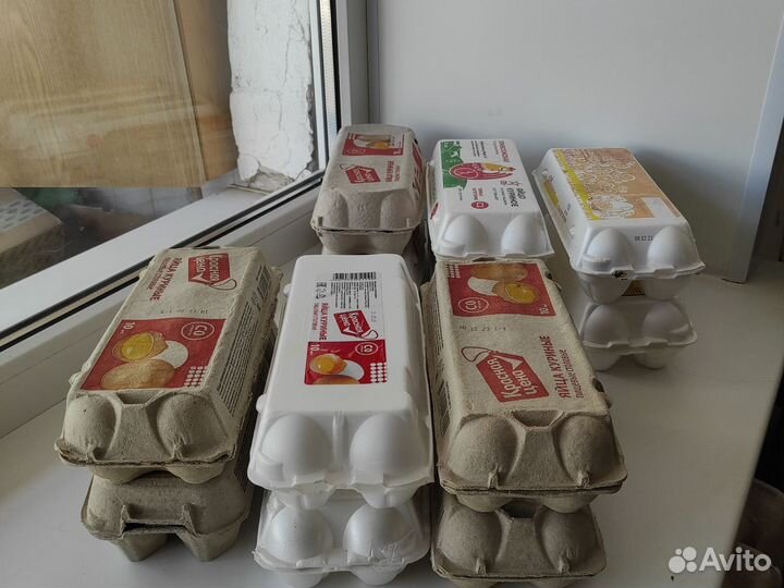 Лотки от яиц