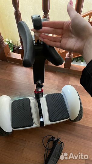 Segway ninebot mini pro