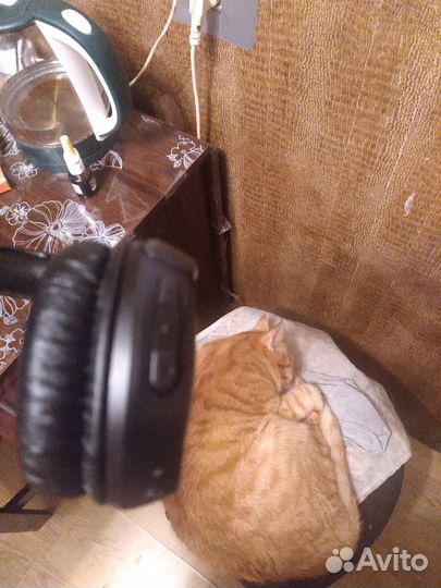 Беспроводные наушники jbl