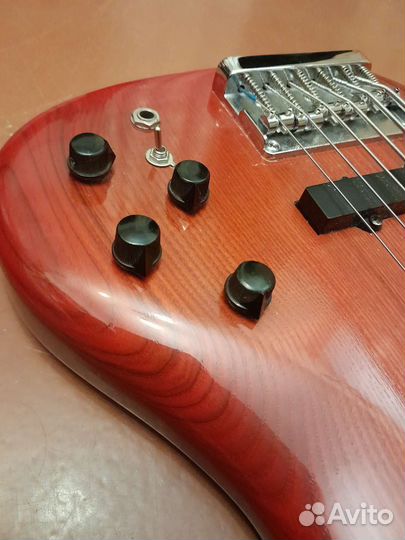6 струнная бас гитара