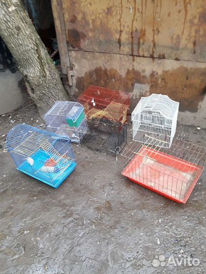 Клетки для птиц и грызунов