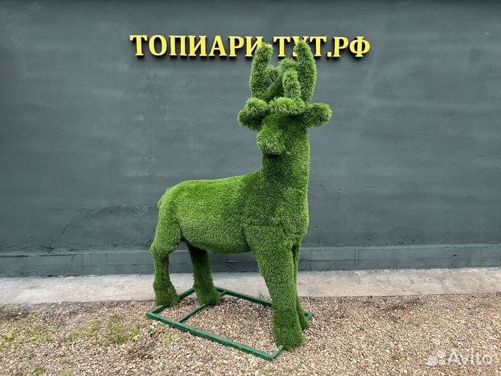 Топиари Топиарные фигуры Садовые фигуры