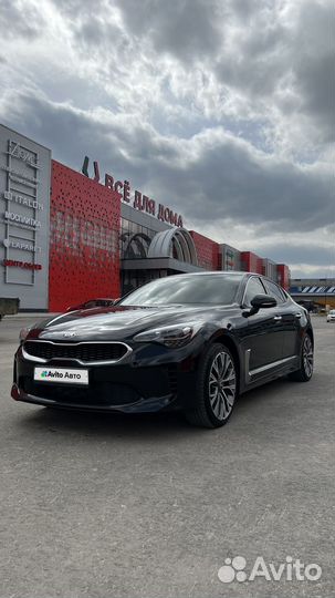 Kia Stinger 2.0 AT, 2019, 63 571 км