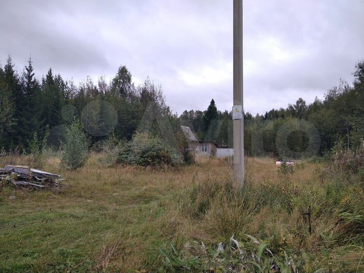 Участок 10 сот. (СНТ, ДНП)