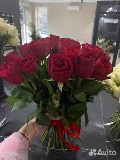 Цветы розы 101