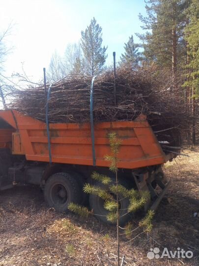 Вывоз мусора, пгс, песок, щебень, опилки, горбыль