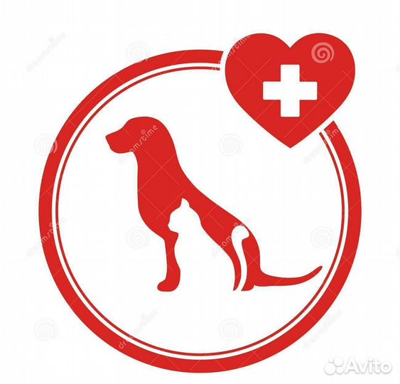 Ветеринар выезд на дом круглосуточно