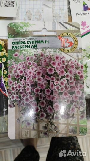 Растения для сада