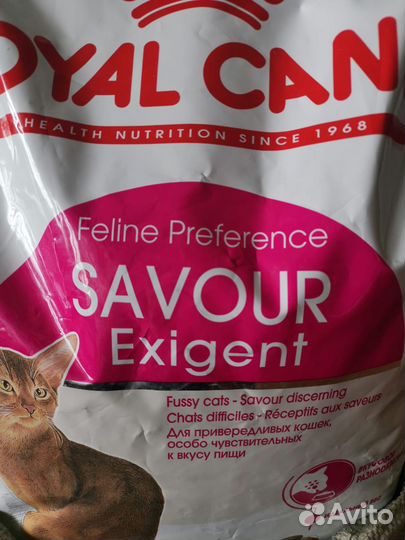 Корм для кошек 4 кг сейвор экзиджент royal canin