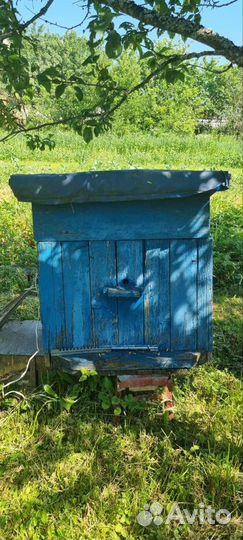 Улей для пчел