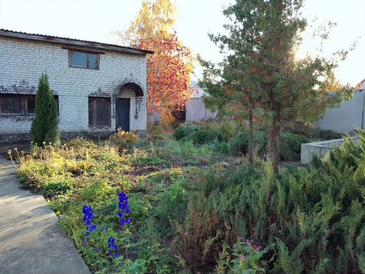 Участок 6,5 сот. (ИЖС)