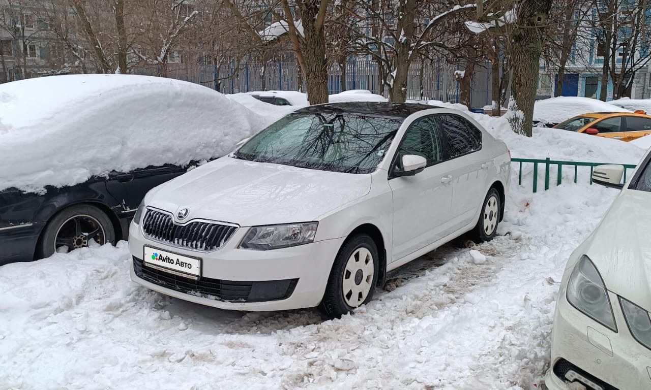 Skoda Octavia: фото владельца