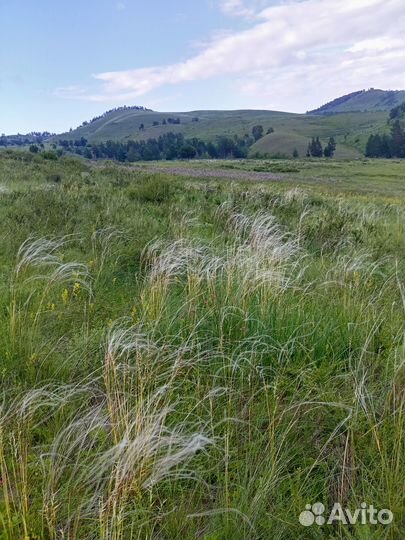 Индивидуальные экскурсии с экскусроводом