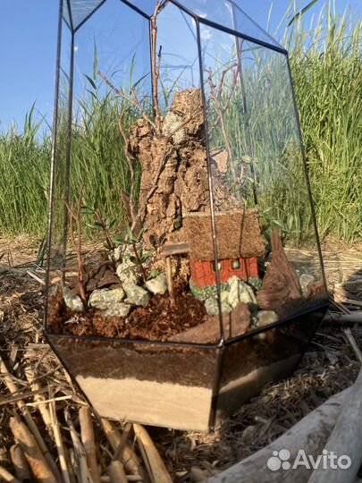 Флорариум без ухода